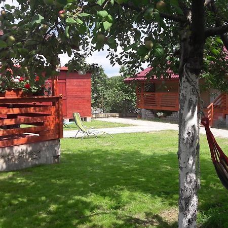 Casa Anamaria Villa Турда Екстериор снимка
