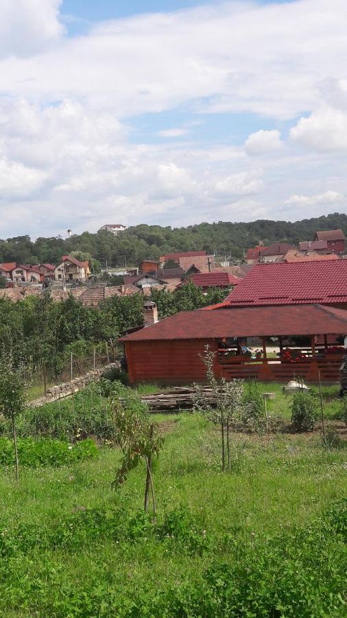 Casa Anamaria Villa Турда Екстериор снимка